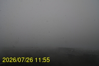 Img20260726_115501.jpg
