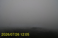 Img20260726_120501.jpg