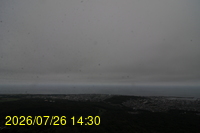 Img20260726_143001.jpg