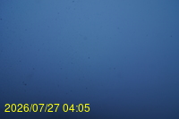 Img20260727_040504.jpg