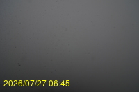 Img20260727_064504.jpg