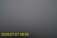 Img20260727_080505.jpg