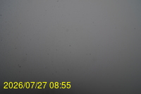 Img20260727_085505.jpg