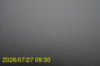 Img20260727_093005.jpg