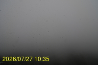 Img20260727_103505.jpg