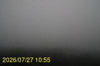 Img20260727_105505.jpg