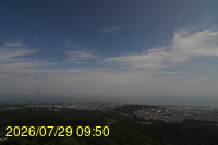 Img20260729_095014.jpg
