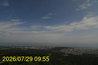 Img20260729_095514.jpg