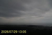 Img20260729_130514.jpg