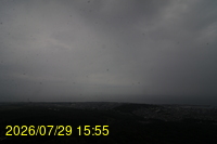 Img20260729_155515.jpg