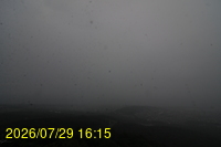 Img20260729_161515.jpg
