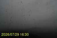 Img20260729_163015.jpg