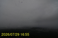 Img20260729_165515.jpg