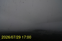 Img20260729_170015.jpg