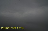 Img20260729_173515.jpg