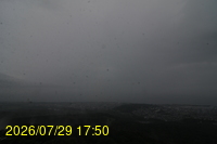 Img20260729_175015.jpg