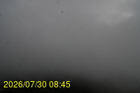 Img20260730_084518.jpg