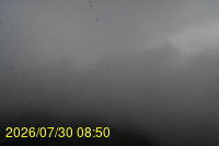 Img20260730_085018.jpg