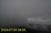 Img20260730_085518.jpg