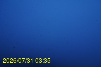 Img20260731_033521.jpg