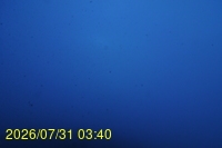 Img20260731_034021.jpg