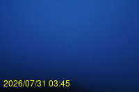 Img20260731_034521.jpg