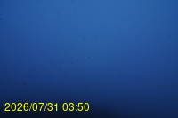 Img20260731_035021.jpg
