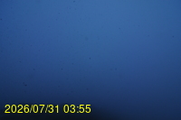 Img20260731_035521.jpg