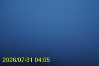 Img20260731_040521.jpg