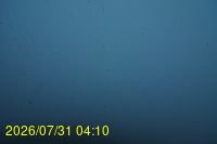 Img20260731_041021.jpg