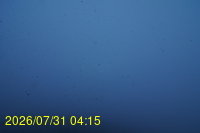 Img20260731_041521.jpg