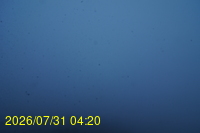 Img20260731_042021.jpg