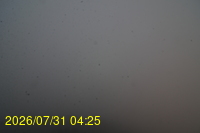 Img20260731_042521.jpg