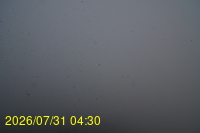 Img20260731_043021.jpg