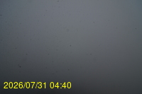 Img20260731_044022.jpg