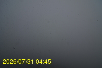 Img20260731_044522.jpg
