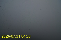 Img20260731_045022.jpg