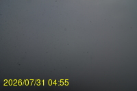 Img20260731_045522.jpg