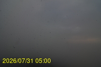 Img20260731_050022.jpg