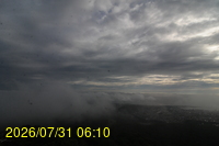 Img20260731_061022.jpg