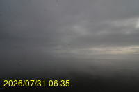 Img20260731_063522.jpg