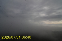 Img20260731_064022.jpg