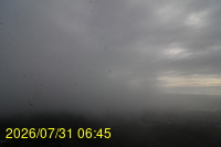 Img20260731_064522.jpg