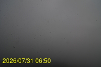 Img20260731_065022.jpg