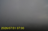 Img20260731_070022.jpg
