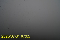Img20260731_070522.jpg