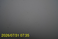 Img20260731_073522.jpg
