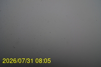 Img20260731_080522.jpg