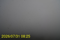 Img20260731_082522.jpg