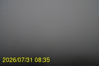 Img20260731_083522.jpg